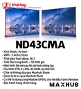 MÀN HÌNH HIỂN THỊ MAXHUB ND43CMA